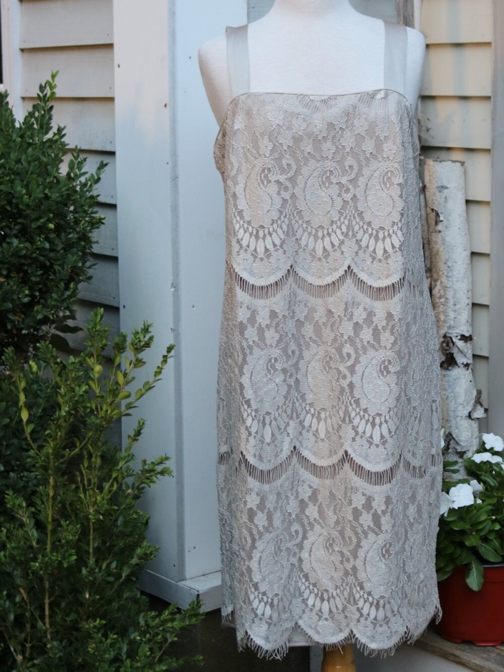 db Established 1962 Woman Taupe Eyelash Lace Satin Strap Lined Sheath Dress 14